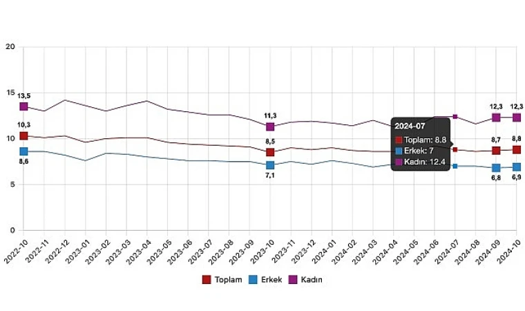 Tüik: Mevsim etkisinden arındırılmış işsizlik oranı %8,8 seviyesinde gerçekleşti